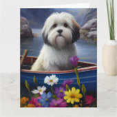Havanese auf dem Paddle: Ein Landschaftliches Aben Karte (Vorderseite)