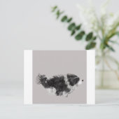 Havanese B&W Postkarte (Stehend Vorderseite)