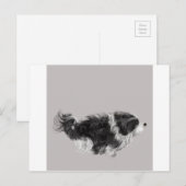 Havanese B&W Postkarte (Vorne/Hinten)