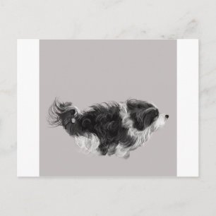 Havanese B&W Postkarte