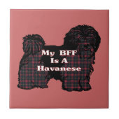 HAVANESE BESTE FREUNDIN FLIESE (Vorderseite)