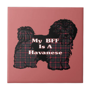 HAVANESE BESTE FREUNDIN FLIESE