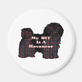 HAVANESE BESTE FREUNDIN Geschenke Magnet (Vorne)