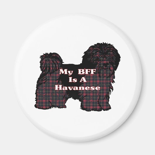 HAVANESE BESTE FREUNDIN Geschenke Magnet (Vorne)