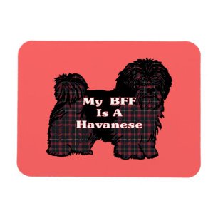 HAVANESE BESTE FREUNDIN MAGNET