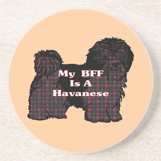 HAVANESE BESTE FREUNDIN SANDSTEIN UNTERSETZER (Vorne)