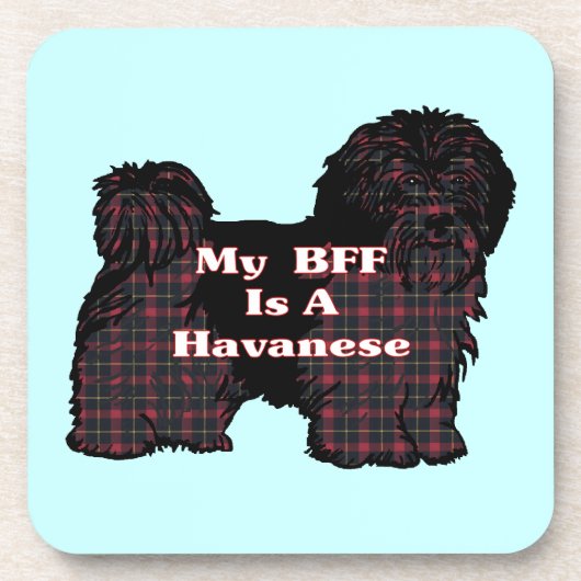 HAVANESE BESTE FREUNDIN UNTERSETZER (Vorderseite)