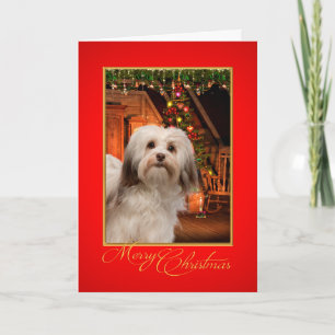 Havanese Christmas Card Feiertagskarte