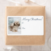 Havanese Christmas Gift Labels (Insitu)