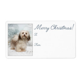 Havanese Christmas Gift Labels