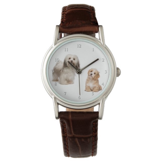 Havanese Dog and Pup Watch Armbanduhr (Vorderseite)