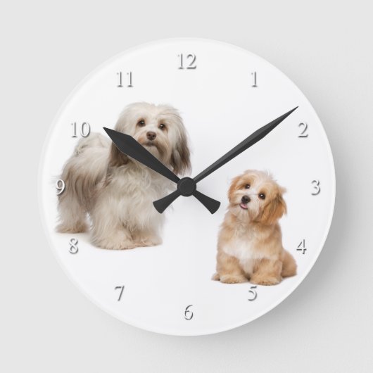 Havanese Dog and Puppy Clock Runde Wanduhr (Vorderseite)
