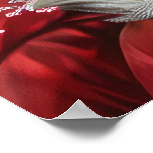 Havanese Dog Christmas Festival Poster (Ecke)