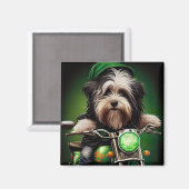 Havanese Dog Driving Bike St. Patrick's Day Magnet (Vorderseite/Rückseite)