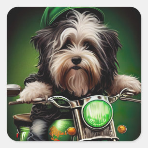 Havanese Dog Driving Bike St. Patrick's Day Quadratischer Aufkleber