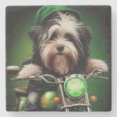 Havanese Dog Driving Bike St. Patrick's Day Steinuntersetzer (Vorderseite)