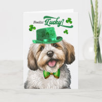 Havanese Dog Feelin' Lucky St Patrick's Day