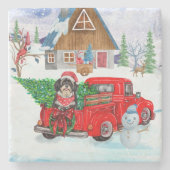 Havanese Dog in Christmas Delivery LKW Schnee Steinuntersetzer (Vorderseite)