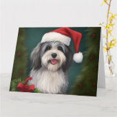 Havanese Dog in Schneeschweihnacht Karte (Gelbe Blume)