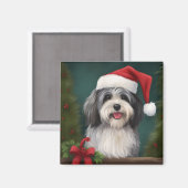 Havanese Dog in Schneeschweihnacht Magnet (Vorderseite/Rückseite)
