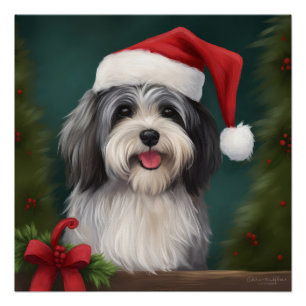 Havanese Dog in Schneeschweihnacht Poster