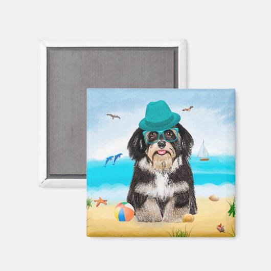 Havanese Dog on Beach Magnet (Vorderseite/Rückseite)