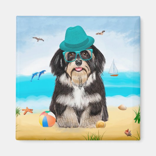 Havanese Dog on Beach Magnet (Vorne)