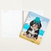 Havanese Dog on Beach Planer (Anzeige)