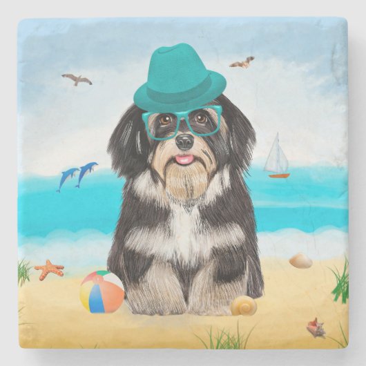 Havanese Dog on Beach Steinuntersetzer (Vorderseite)