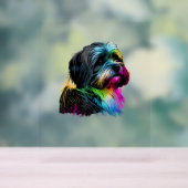 Havanese Dog Pop Art Design Havanese Acrylschild (Neutral)