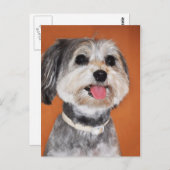 Havanese Dog Portrait Postkarte (Vorne/Hinten)