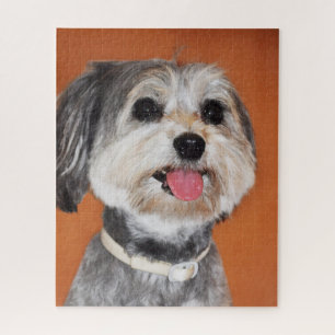 Havanese Dog Portrait Puzzle