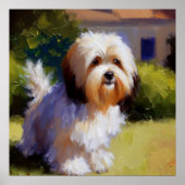 Havanese Dog Poster (Vorne)