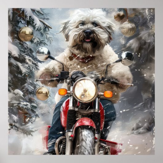 Havanese Dog Riding Motorrad Weihnachten Poster (Vorne)
