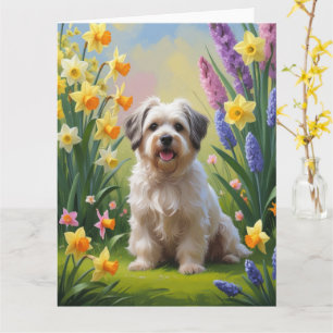 Havanese Dog Spring Blumen Malerei Karte