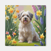 Havanese Dog Spring Blumen Malerei Magnet (Vorne)