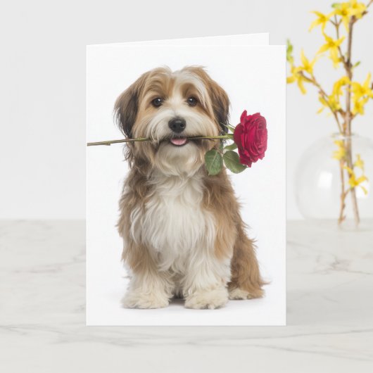 Havanese Dog Valentine Karte (Gelbe Blume)