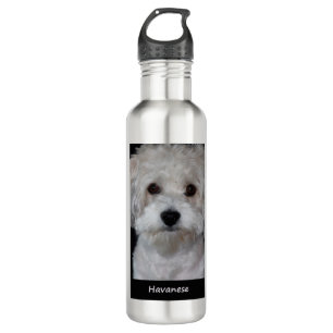 Havanese Edelstahlflasche