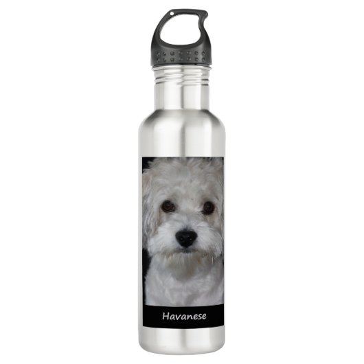 Havanese Edelstahlflasche (Vorderseite)