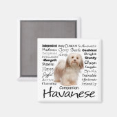 Havanese-Eigenschaften Magnet (Vorderseite/Rückseite)