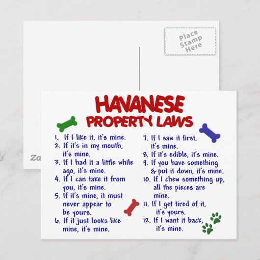 HAVANESE-Eigentumsrecht 2 Postkarte (Vorne/Hinten)