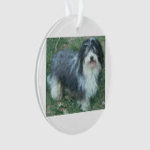 havanese full.png ornament (Vorderseite)