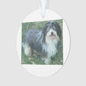 havanese full.png ornament (Vorderseite)