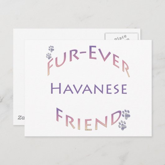 Havanese Furever Postkarte (Vorne/Hinten)