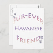 Havanese Furever Postkarte (Vorne/Hinten)