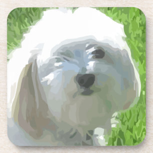 Havanese Getränkeuntersetzer