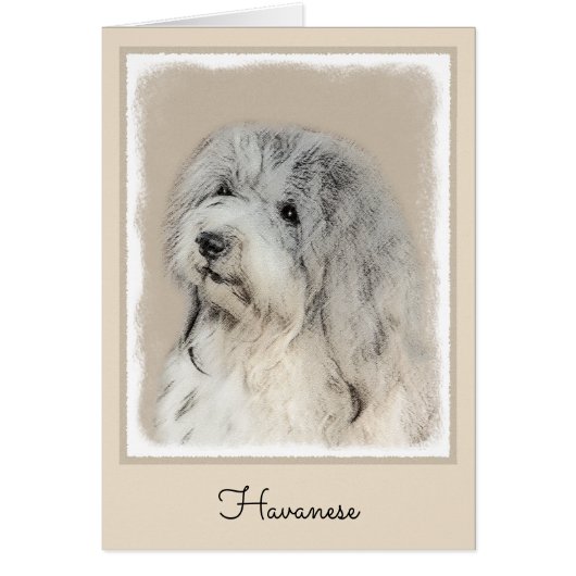 Havanese (Gold Sable) Malerei - Original Hunde Kun (Vorne)
