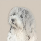 Havanese (Gold Sable) Malerei - Original Hunde Kun Aufkleber (Vorderseite)