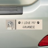 Havanese (Gold Sable) Malerei - Original Hunde Kun Autoaufkleber (Auf Auto)