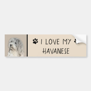 Havanese (Gold Sable) Malerei - Original Hunde Kun Autoaufkleber